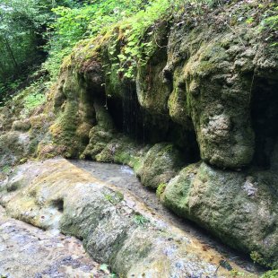 ich liebe die Natur