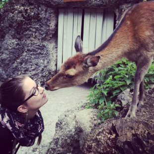 Ich liebe Tiere