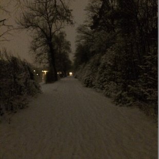 Schneespaziergang an der Limmat