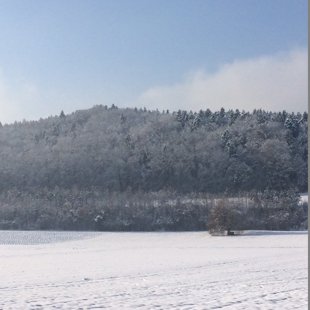 Dörfchenwald