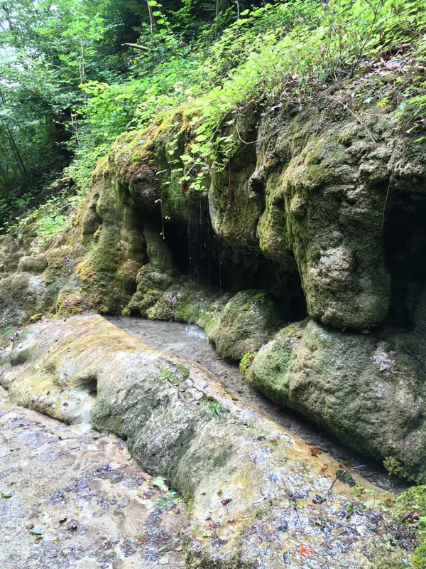 ich liebe die Natur