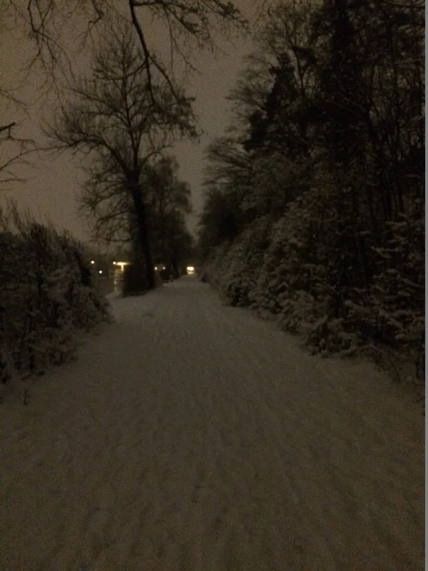 Schneespaziergang an der Limmat