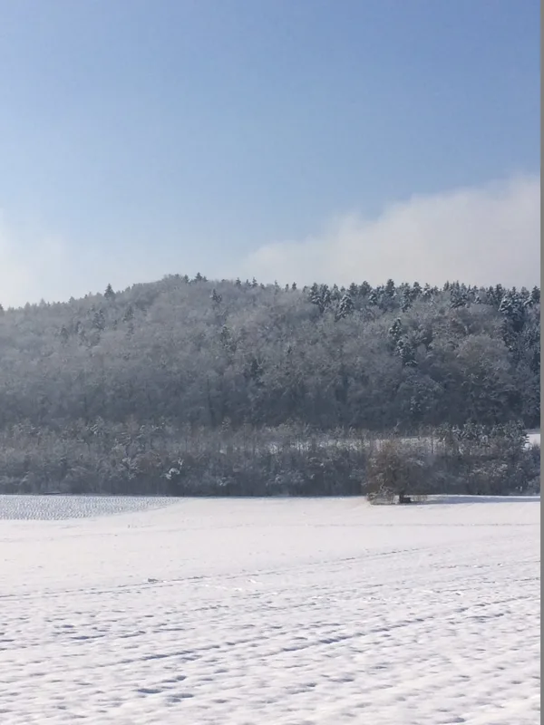 Dörfchenwald